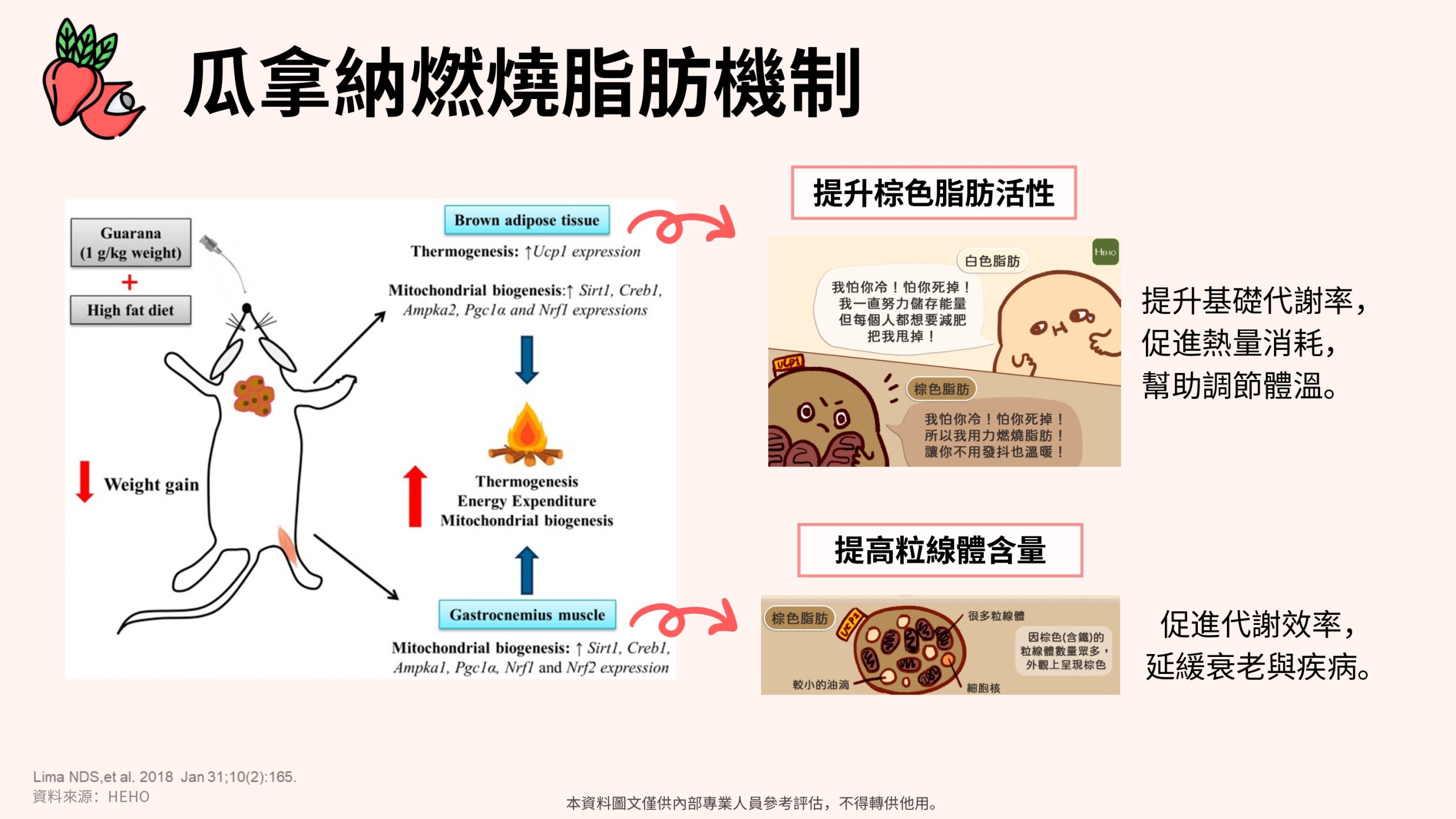 惡魔孅體飲15入:圖片 15