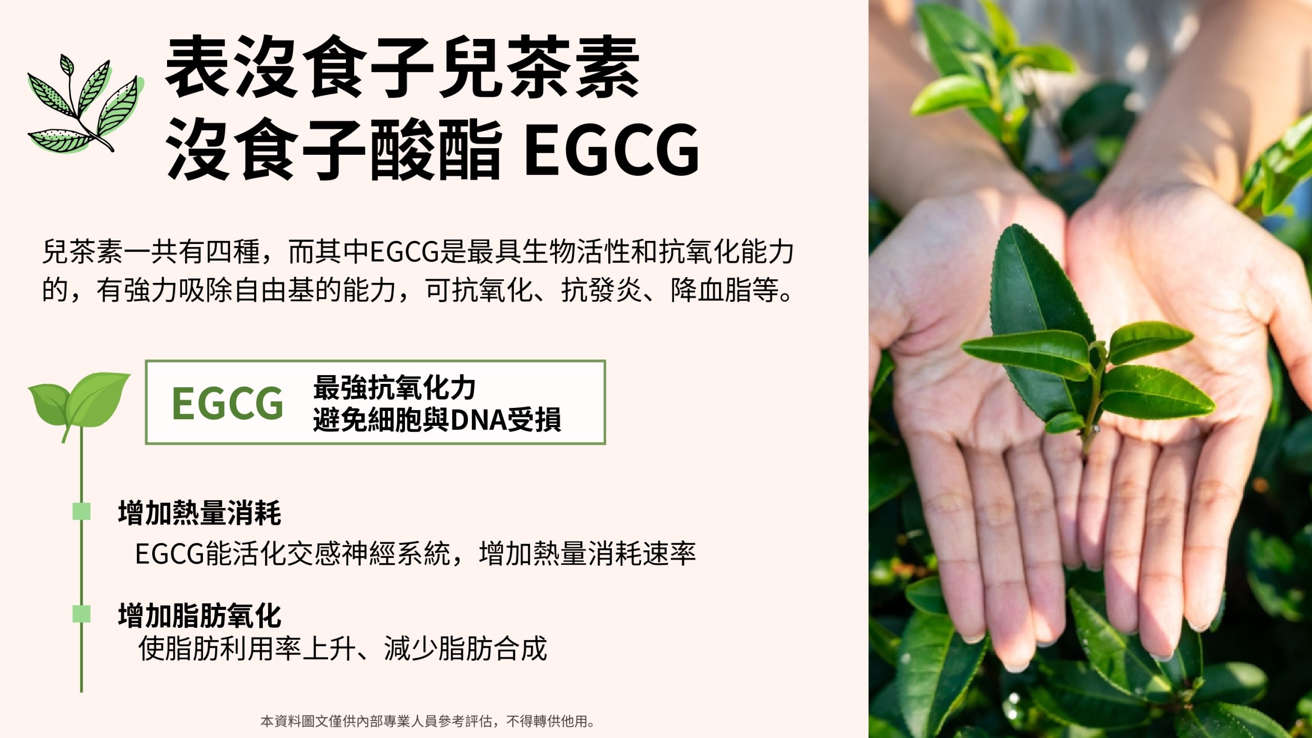 惡魔孅體飲15入:圖片 21