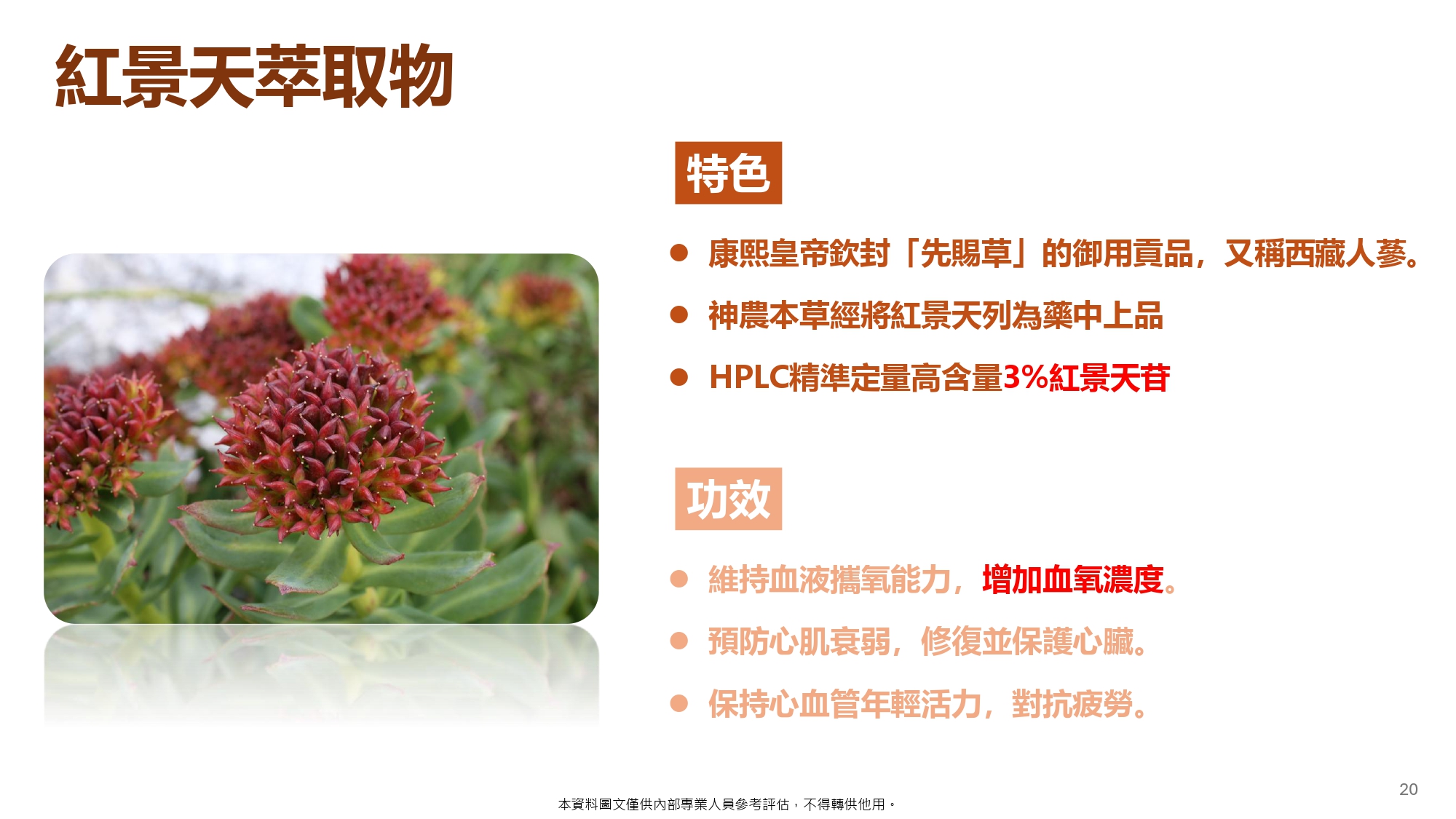 日本專利蚓激酶(20粒):圖片 21